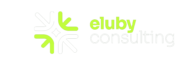 elubyconsulting.com