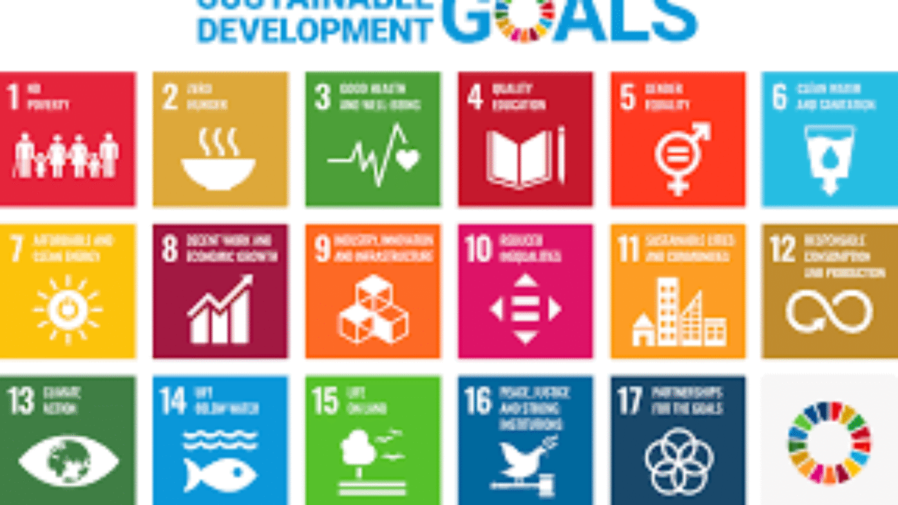 sustainable development goals